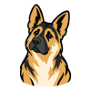 poofpass 04 german shepherd